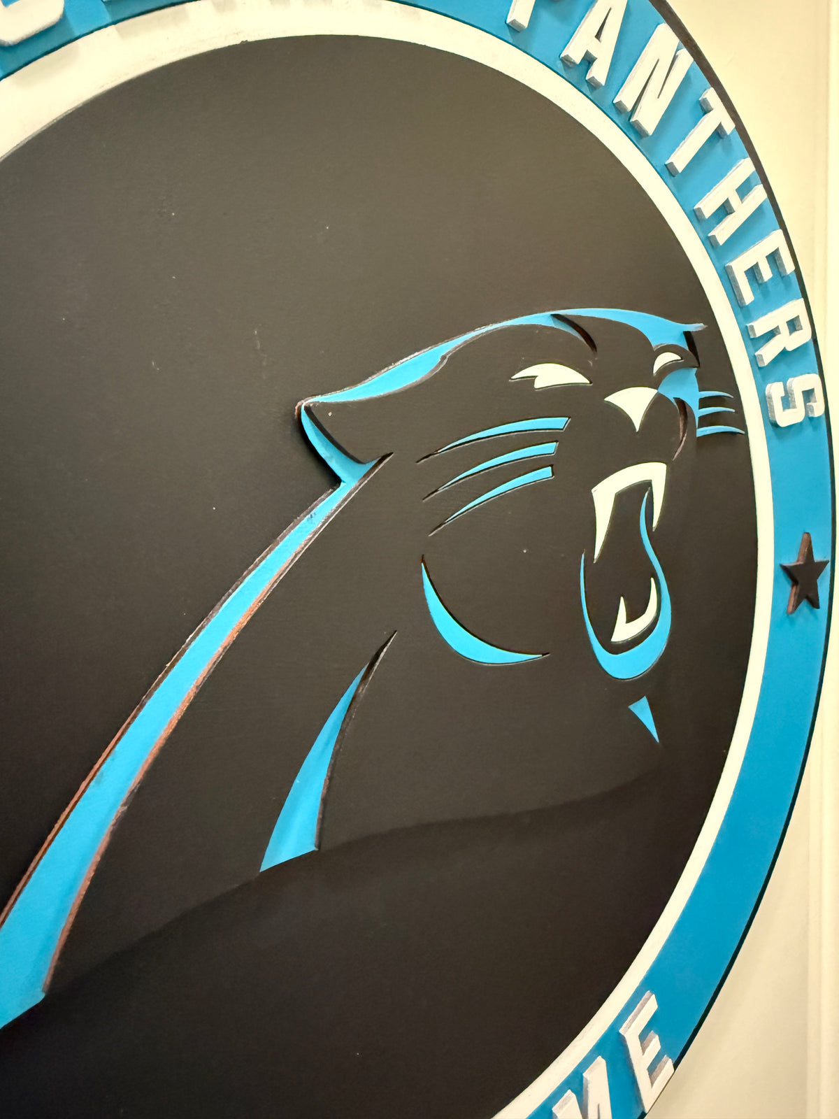 Door Hanger - Carolina Panthers